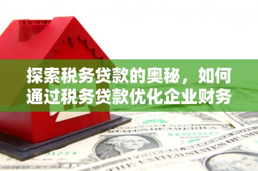 代县探索税务贷款的奥秘，如何通过税务贷款优化企业财务
