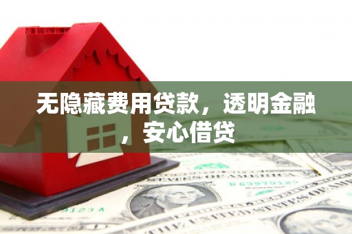 代县无隐藏费用贷款，透明金融，安心借贷