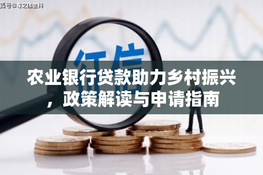 代县农业银行贷款助力乡村振兴，政策解读与申请指南