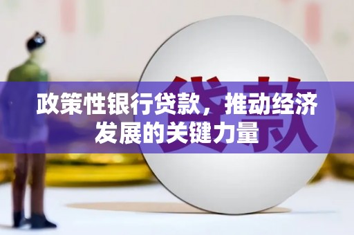 代县政策性银行贷款，推动经济发展的关键力量