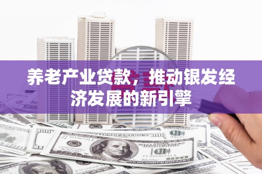 代县养老产业贷款，推动银发经济发展的新引擎