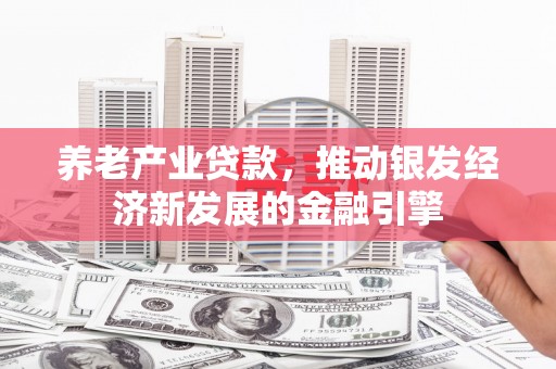 代县养老产业贷款，推动银发经济新发展的金融引擎