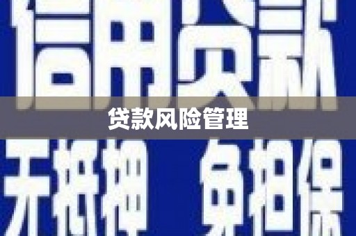 代县贷款风险管理