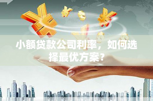 代县小额贷款公司利率，如何选择最优方案？