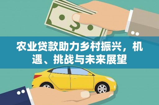 代县农业贷款助力乡村振兴，机遇、挑战与未来展望