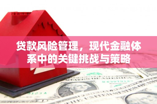 代县贷款风险管理，现代金融体系中的关键挑战与策略