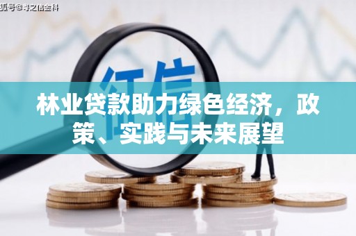 代县林业贷款助力绿色经济，政策、实践与未来展望