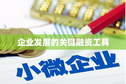 代县企业发展的关键融资工具
