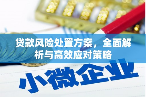 代县贷款风险处置方案，全面解析与高效应对策略
