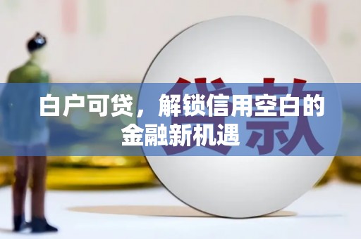 代县白户可贷，解锁信用空白的金融新机遇