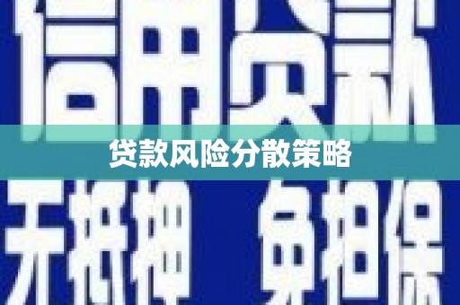 代县贷款风险分散策略