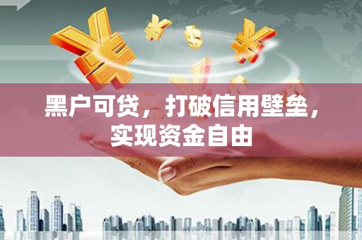 代县黑户可贷，打破信用壁垒，实现资金自由