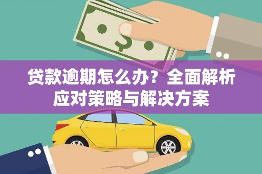 代县贷款逾期怎么办？全面解析应对策略与解决方案