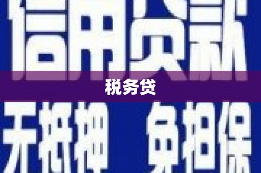代县税务贷