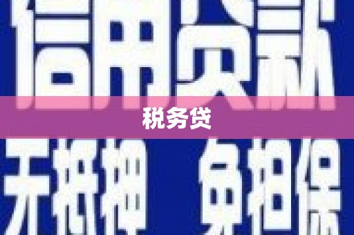 代县税务贷