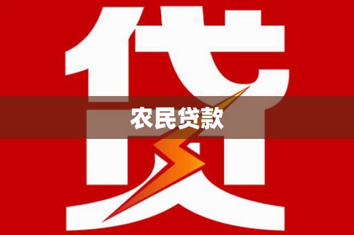 代县农民贷款