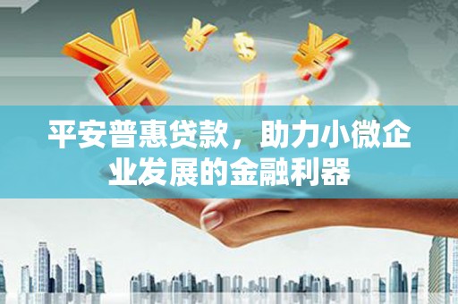 代县平安普惠贷款，助力小微企业发展的金融利器
