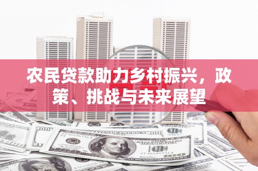 代县农民贷款助力乡村振兴，政策、挑战与未来展望