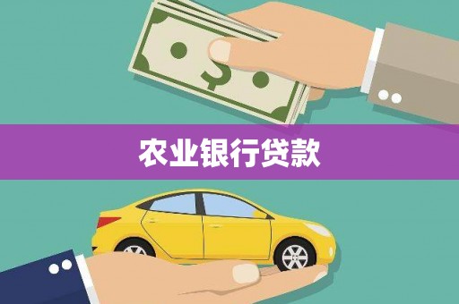 代县农业银行贷款