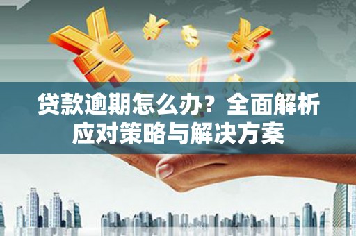 代县贷款逾期怎么办？全面解析应对策略与解决方案