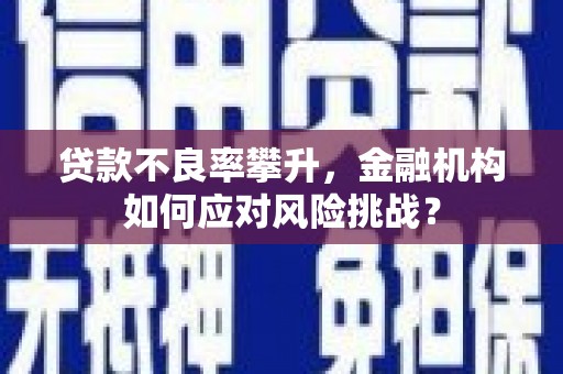 代县贷款不良率攀升，金融机构如何应对风险挑战？