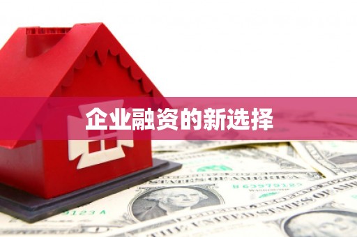 代县企业融资的新选择