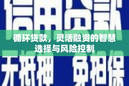 代县循环贷款，灵活融资的智慧选择与风险控制