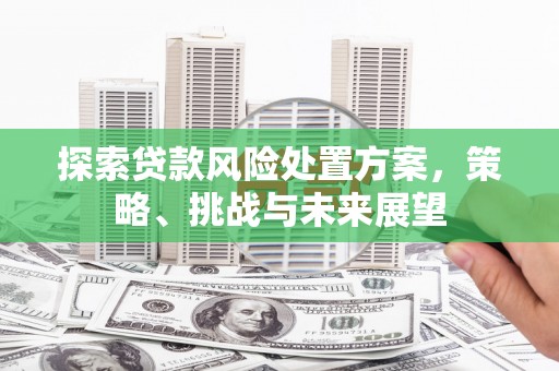 代县探索贷款风险处置方案，策略、挑战与未来展望
