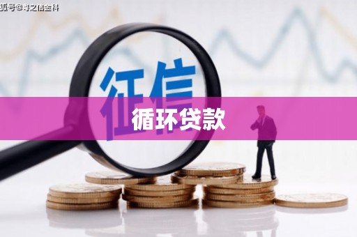 代县循环贷款