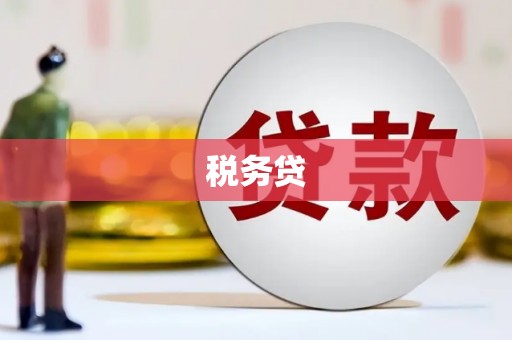 代县税务贷