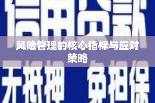 代县风险管理的核心指标与应对策略
