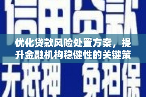 代县优化贷款风险处置方案，提升金融机构稳健性的关键策略