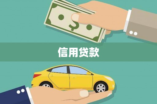 代县信用贷款