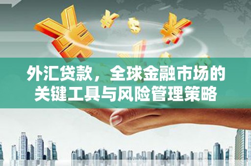 代县外汇贷款，全球金融市场的关键工具与风险管理策略