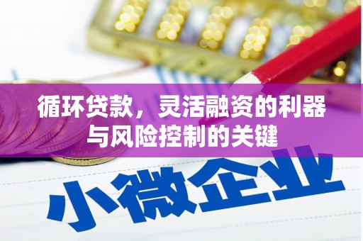 代县循环贷款，灵活融资的利器与风险控制的关键