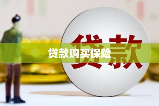 代县贷款购买保险