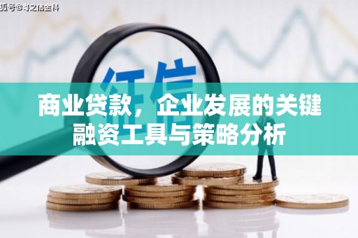 代县商业贷款，企业发展的关键融资工具与策略分析