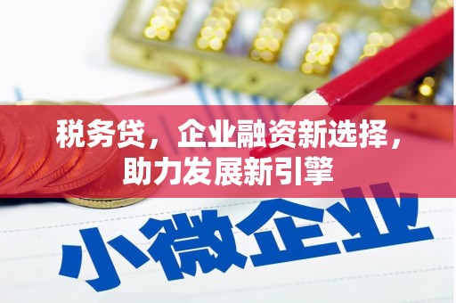 代县税务贷，企业融资新选择，助力发展新引擎