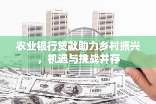 代县农业银行贷款助力乡村振兴，机遇与挑战并存