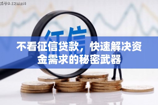 代县不看征信贷款，快速解决资金需求的秘密武器