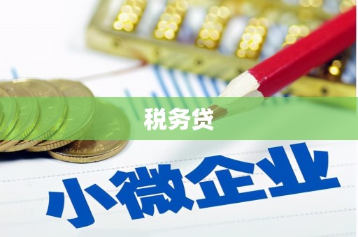 代县税务贷