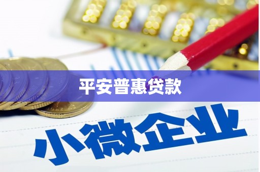 代县平安普惠贷款