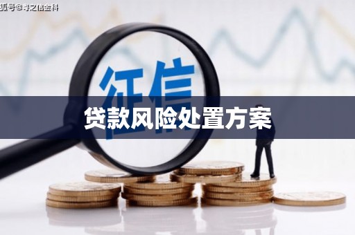 代县贷款风险处置方案