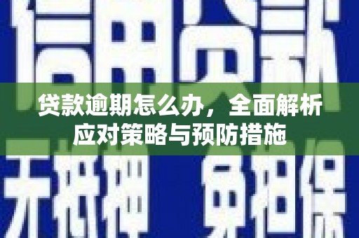 代县贷款逾期怎么办，全面解析应对策略与预防措施