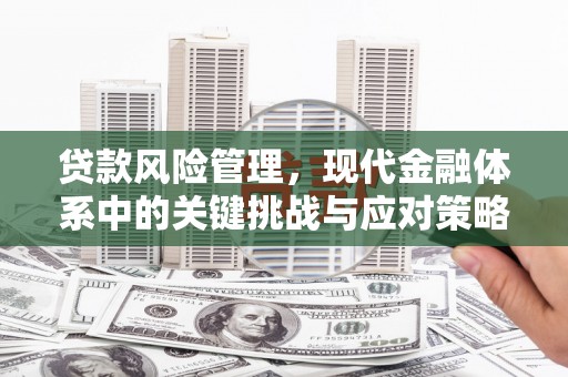 代县贷款风险管理，现代金融体系中的关键挑战与应对策略