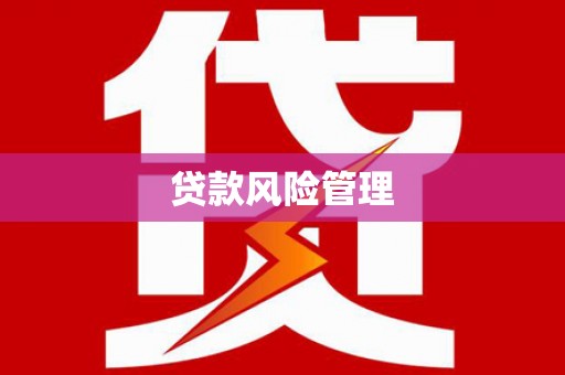 代县贷款风险管理