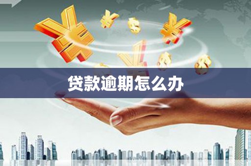 代县贷款逾期怎么办
