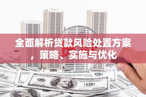 代县全面解析贷款风险处置方案，策略、实施与优化