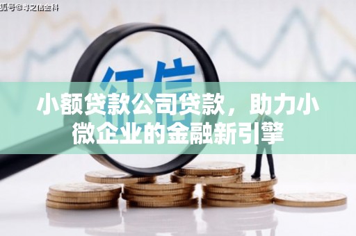 代县小额贷款公司贷款，助力小微企业的金融新引擎