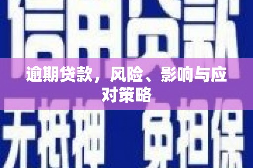 代县逾期贷款，风险、影响与应对策略